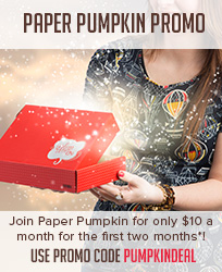 O1_Paper-Pumpkin_August_1_NA