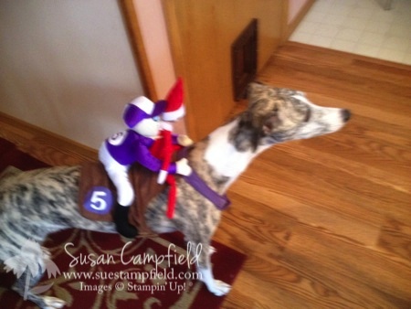Elf On The Shelf Adventures5-imp