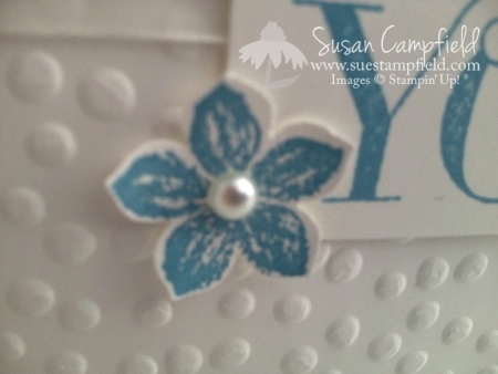 Petite Petals Bundle with Watercolor Wonder Designer Paper4-imp