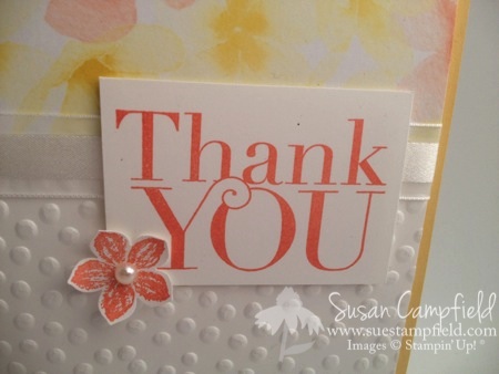 Petite Petals with Watercolor Wonder and Decorative Dots2-imp