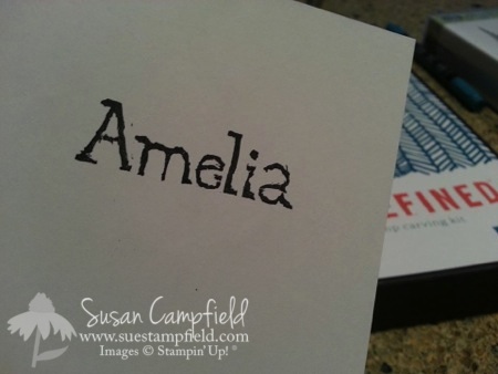 Undefined with Amelia Seidl03-imp