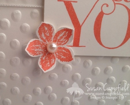 Petite Petals with Watercolor Wonder and Decorative Dots3-imp