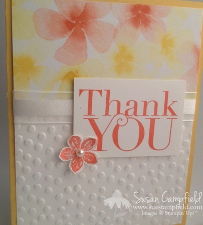 Petite Petals with Watercolor Wonder and Decorative Dots1-imp