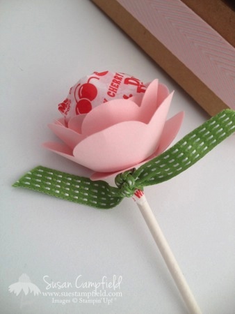 Spiral Flower Die Decorative Window Gift Box Bouquet09-imp