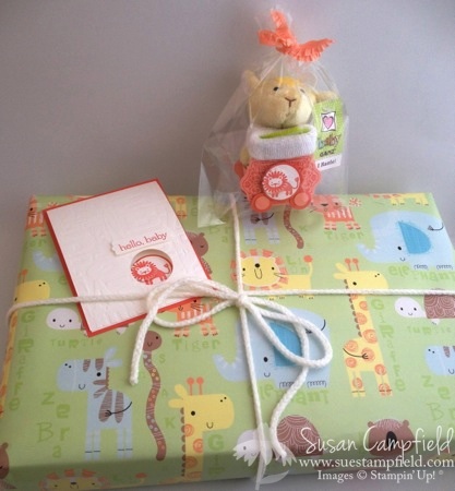 Zoo Babies Alphabet Press Baby Card and Circus Lion Box Package Topper4-imp