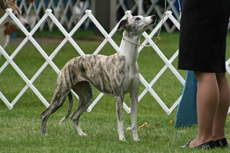 Bella Lake Elmo 20141 Bella Lake Elmo 20141