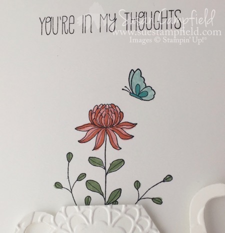 Cup & Kettle Flowering Fields - 4 Cup & Kettle Flowering Fields - 4