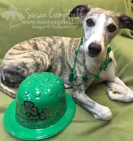 Bella St Patrick's Day - 1 Bella St Patrick's Day - 1