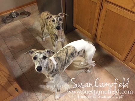 Waiting for popcorn - 1