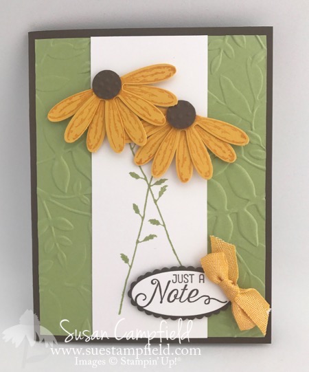 Delightful Daisy Black-Eyed Susan - 1