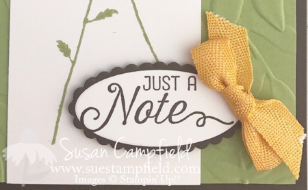 Delightful Daisy Black-Eyed Susan - 3