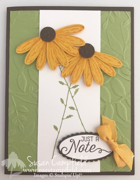 Delightful Daisy Black-Eyed Susan - 4