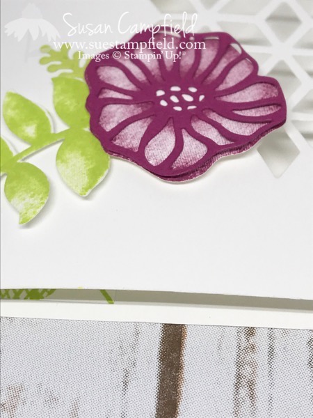 Oh So Eclectic and Eclectic Layers Dies - 5 Oh So Eclectic and Eclectic Layers Dies - 5