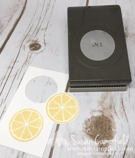 Grapefruit Goodness with Lemon Zest - 7