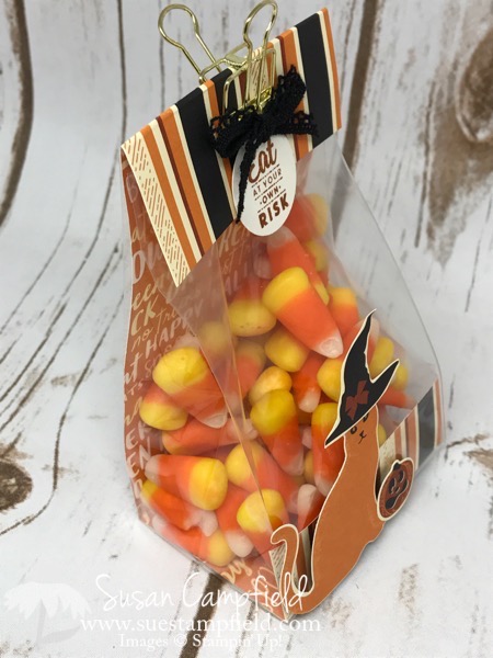 Hallloween Spooky Cat Gusseted Lined Treat Bag - 12