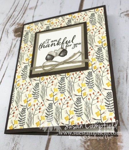 Painted Harvest Acorn with Autumn Harvest Designer Series Paper - 4