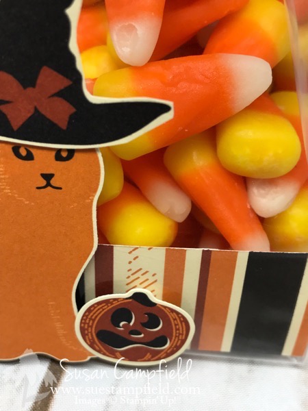 Hallloween Spooky Cat Gusseted Lined Treat Bag - 13