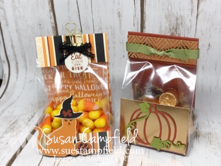 Hallloween Spooky Cat Gusseted Lined Treat Bag - 5