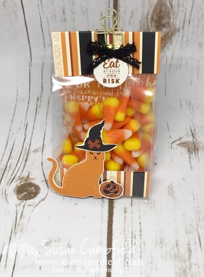 Hallloween Spooky Cat Gusseted Lined Treat Bag - 9