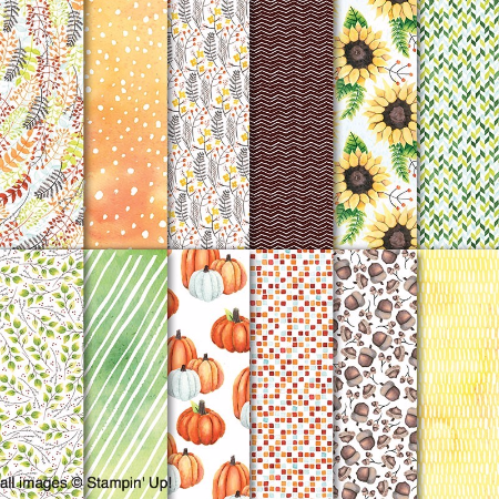 Painted Autumn Designer Series Paper