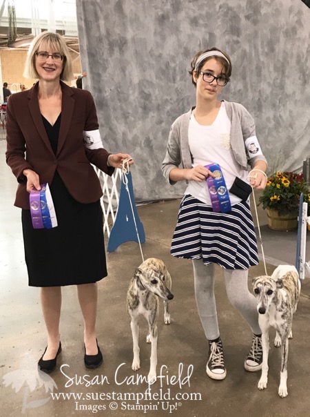 Mercy and Winston at the Des Moines Dog Show - 1