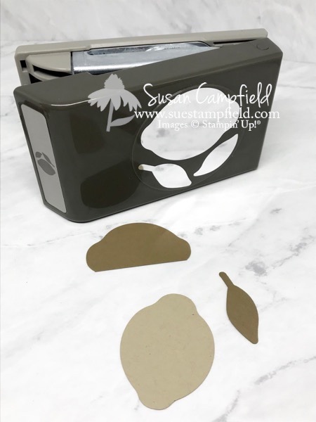 Acorn Lemon Builder Punch Takeout Thinlits Dies Takeout Treats - 16