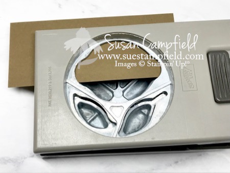 Acorn Lemon Builder Punch Takeout Thinlits Dies Takeout Treats - 16