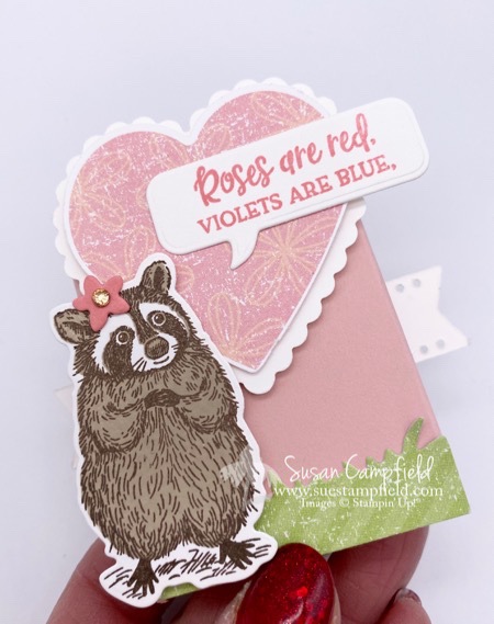 Special Someone Special Day Raccoon Treat Holder0006