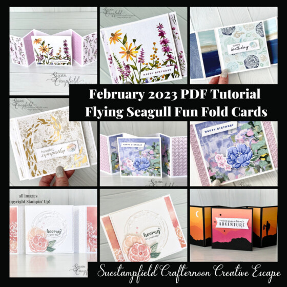 Flying Seagull Fun Fold Tutorial