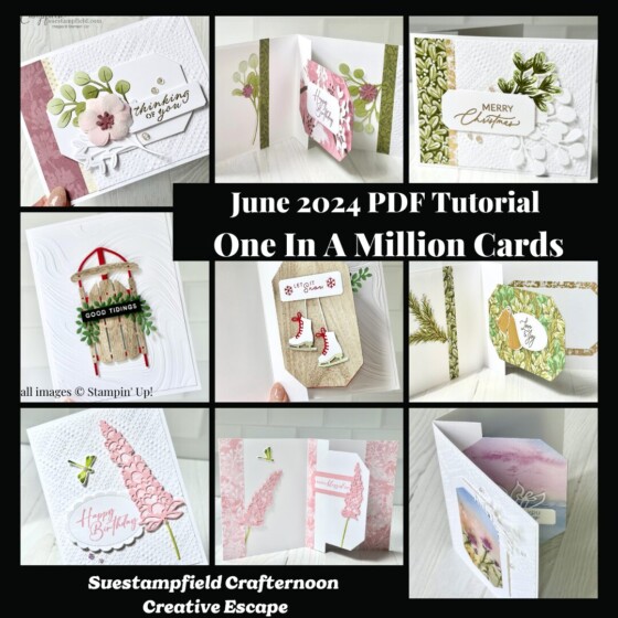 One In A Million Fun Fold Card Tutorial